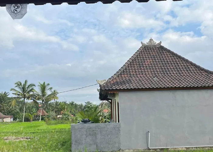 Villa Nano Ari House